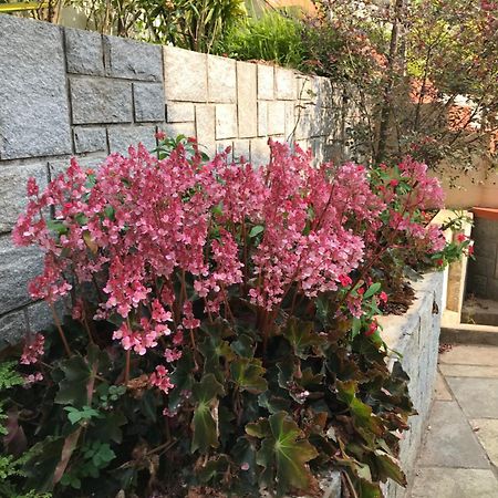 Robin Woods Homestay Sakleshpur Exterior photo