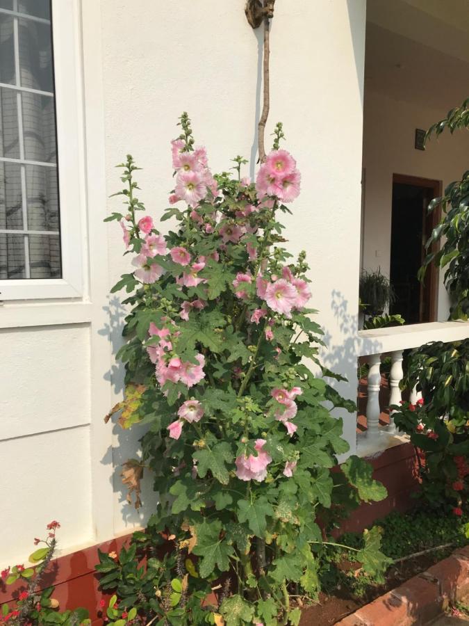 Robin Woods Homestay Sakleshpur Exterior photo