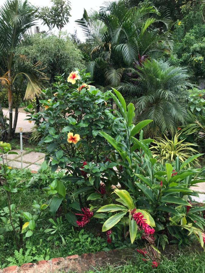 Robin Woods Homestay Sakleshpur Exterior photo