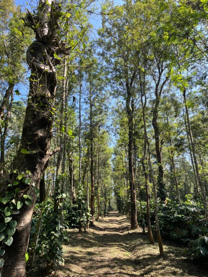 Robin Woods Homestay Sakleshpur Exterior photo